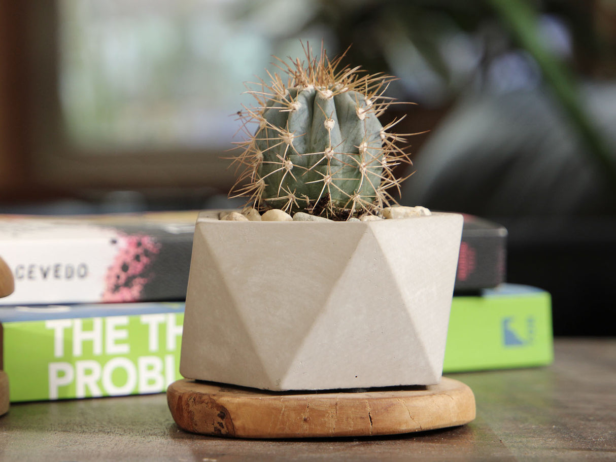 Geometry Pentagon Planter