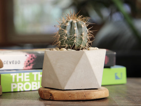 Geometry Pentagon Planter