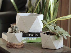 Geometry Pentagon Planter