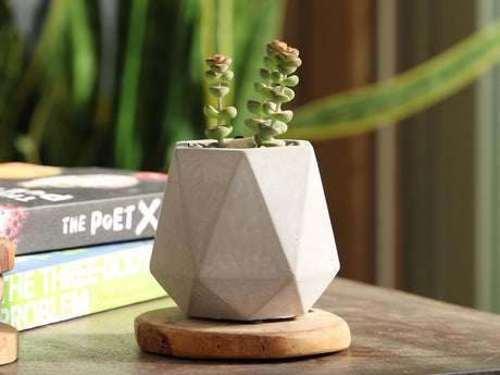 Geometry Skyline Tumbler Planter