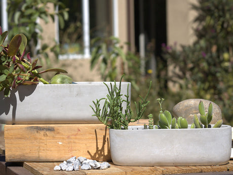 Low Oval Concrete Planter