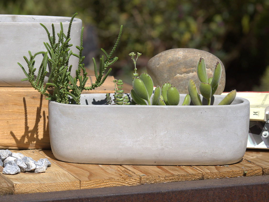 Low Oval Concrete Planter