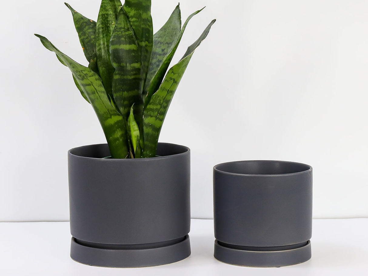 Carmel Attached Saucers Planters