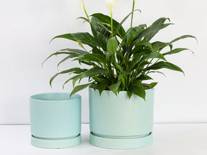 Carmel Attached Saucers Planters