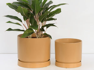 Carmel Attached Saucers Planters