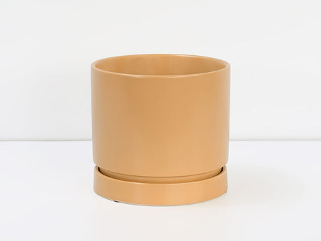 Carmel Attached Saucers Planters