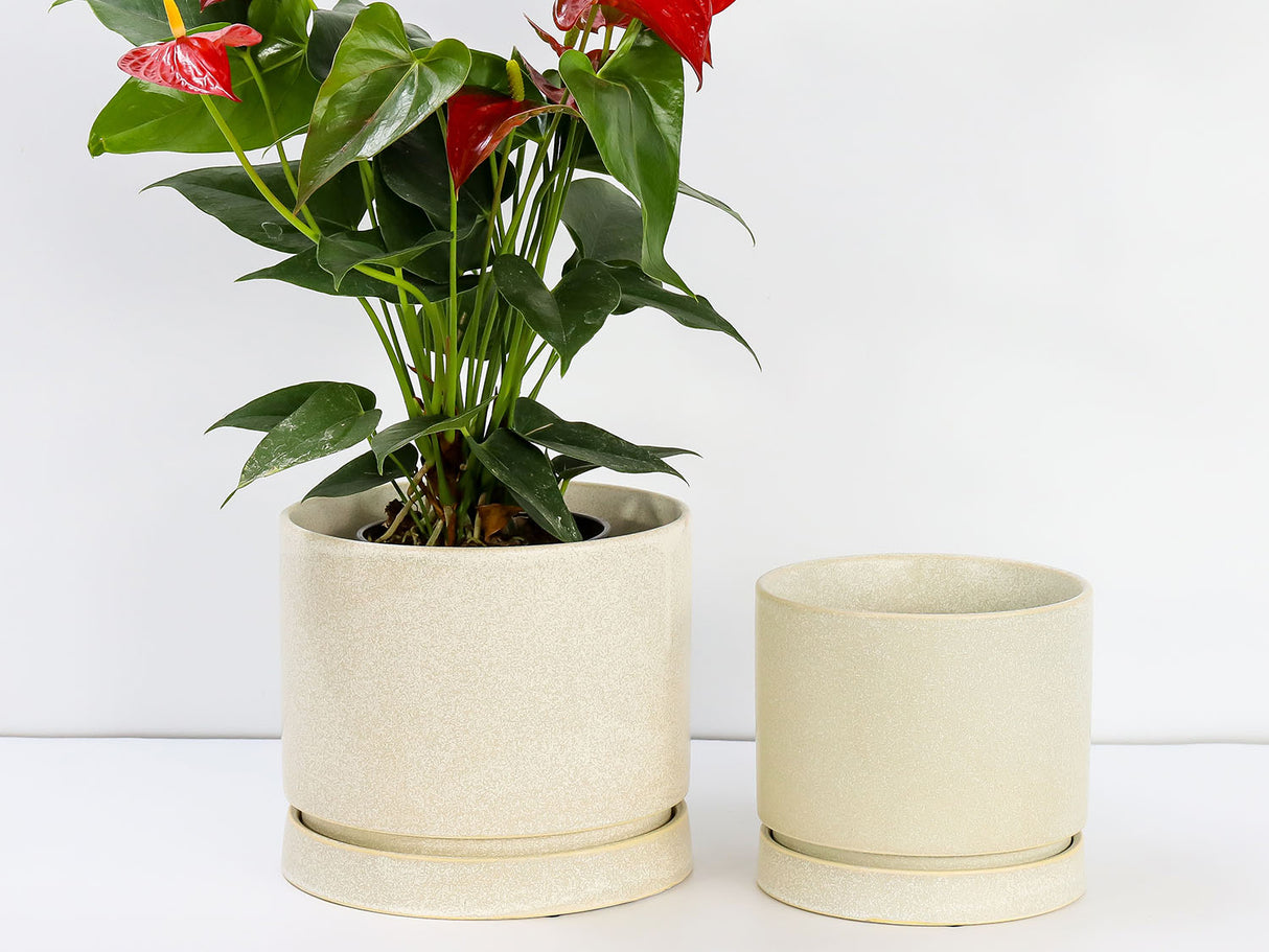 Carmel Attached Saucers Planters