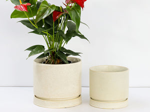 Carmel Attached Saucers Planters