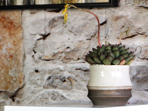 Santa Barbara Planters