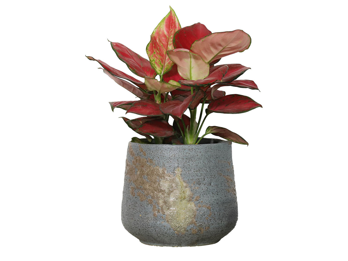 Round Hand Formed Planter