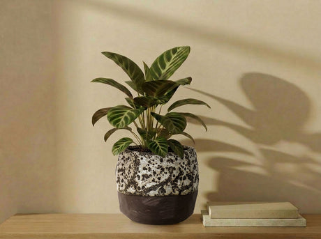 Hexagon Handformed Planter