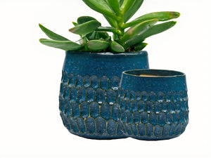 Cambria Planters