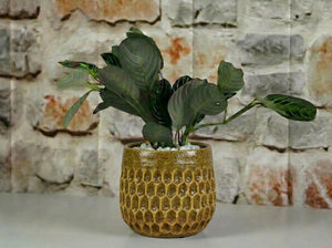 Cambria Planters