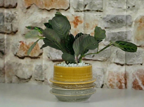 Art Décor Planter