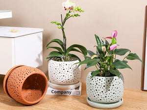 Rain Drop Orchid Planter-Sand