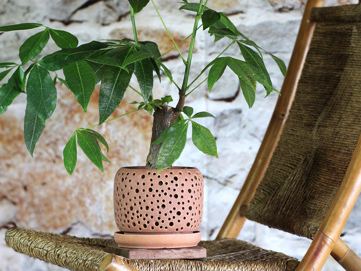 Rain Drop Orchid Planter-Sand By Plantatorem