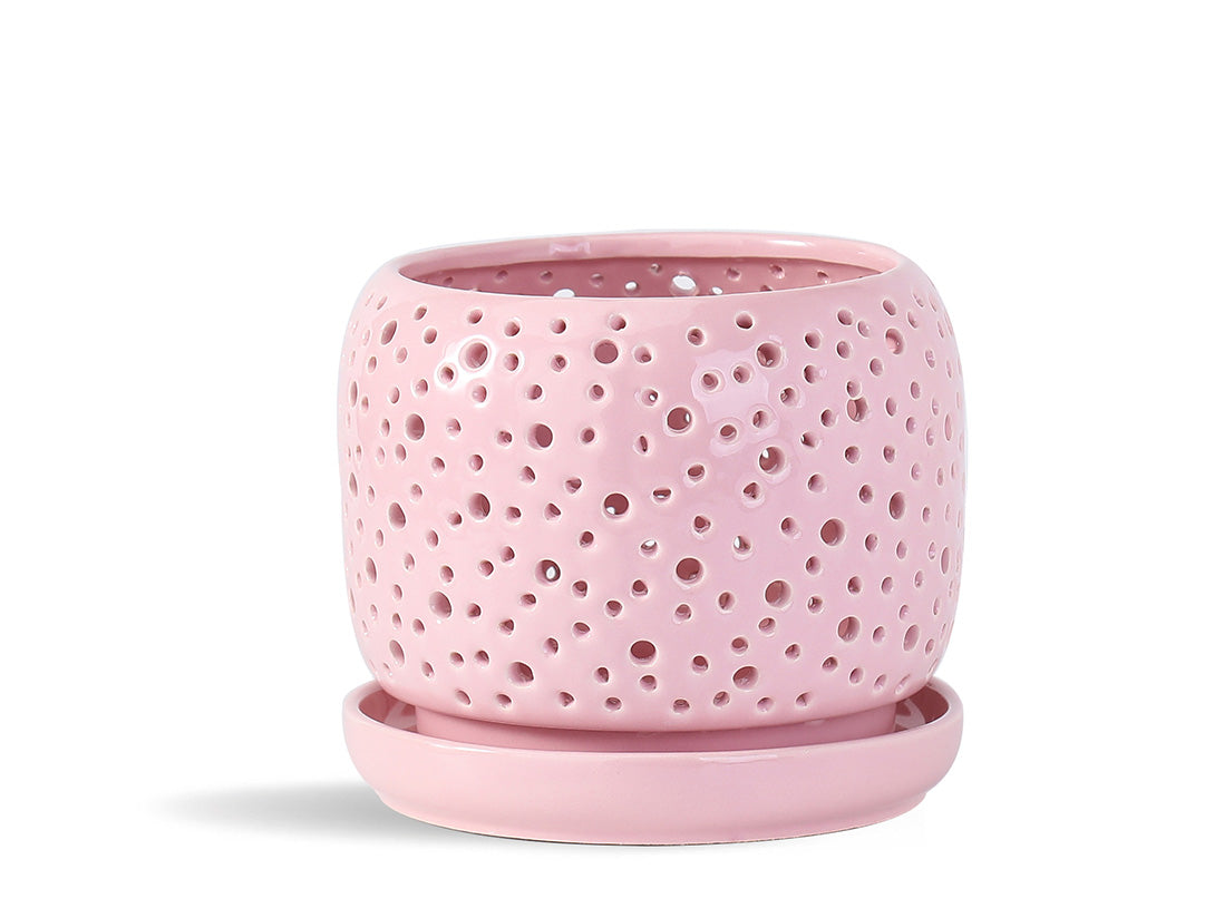 Rain Drop Orchid Planter 