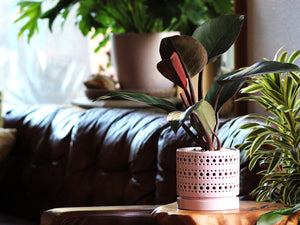 Moon Gate Orchid Planter with Attached Saucer- Pastel By Plantatorem