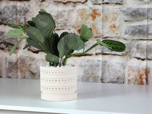 Moon Gate Orchid Planter with Attached Saucer - Sand By Plantatorem