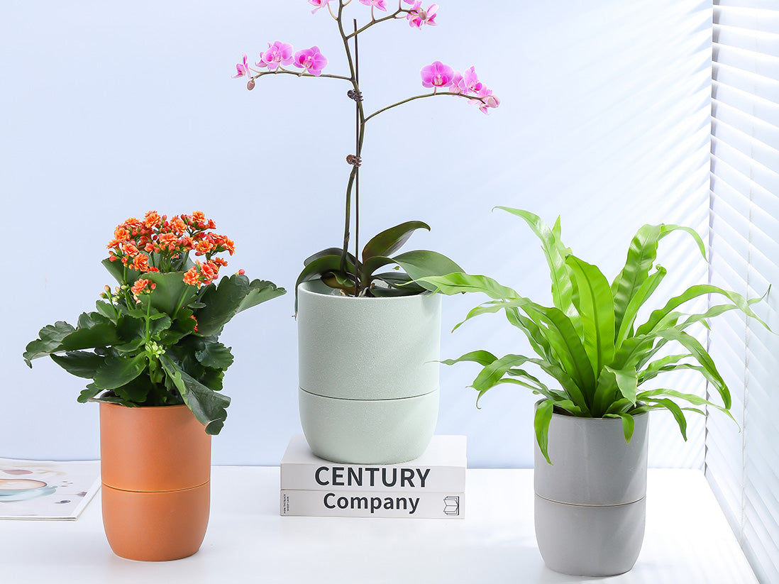 Urban Dweller Self-Watering Pot- Sand | Indoor Planters – PLANTATOREM