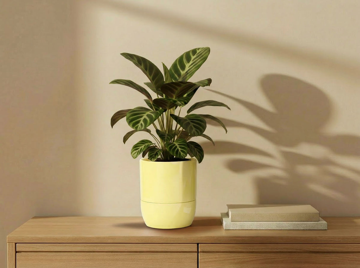 Urban Dweller Self-Watering Pot- Pastel By Plantatorem
