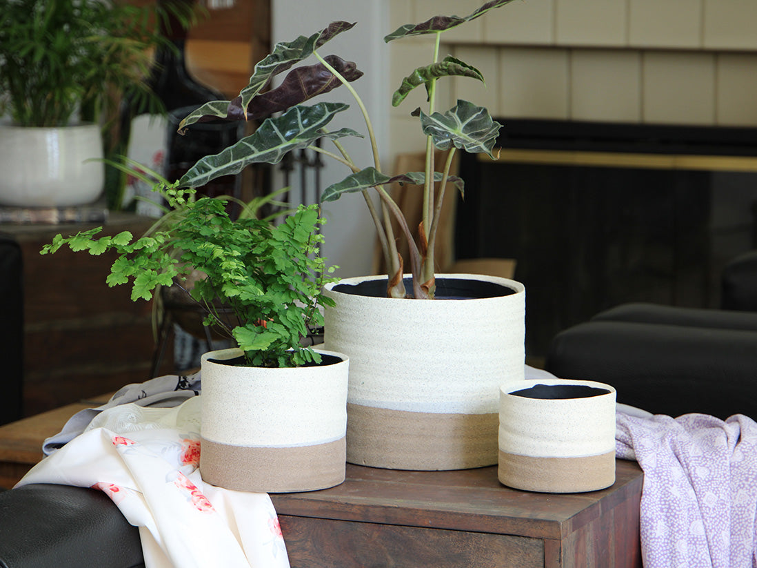 Jewel Mug Planter By Plantatorem