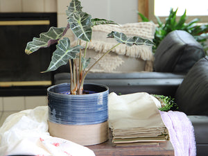 Jewel Mug Planter By Plantatorem