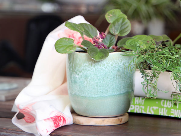 Buy Jewel Teacup Planter 4.0