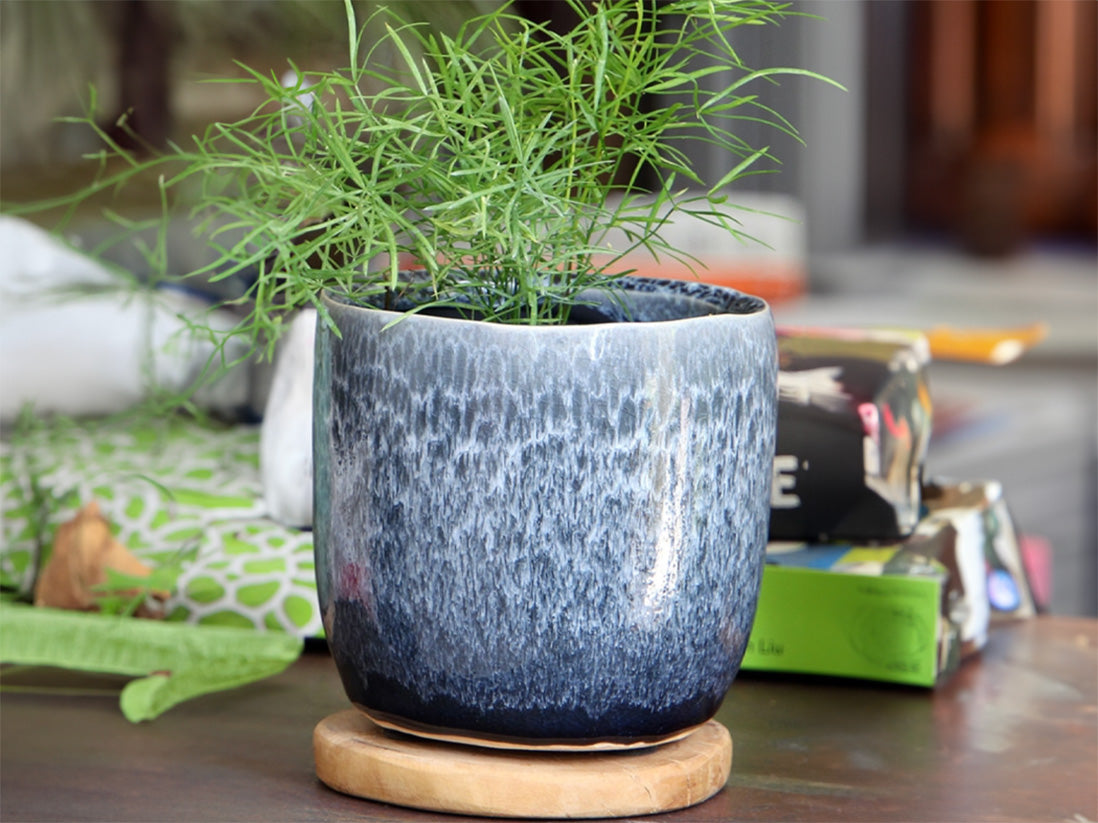 Jewel Teacup Planter Jewel Teacup Planter