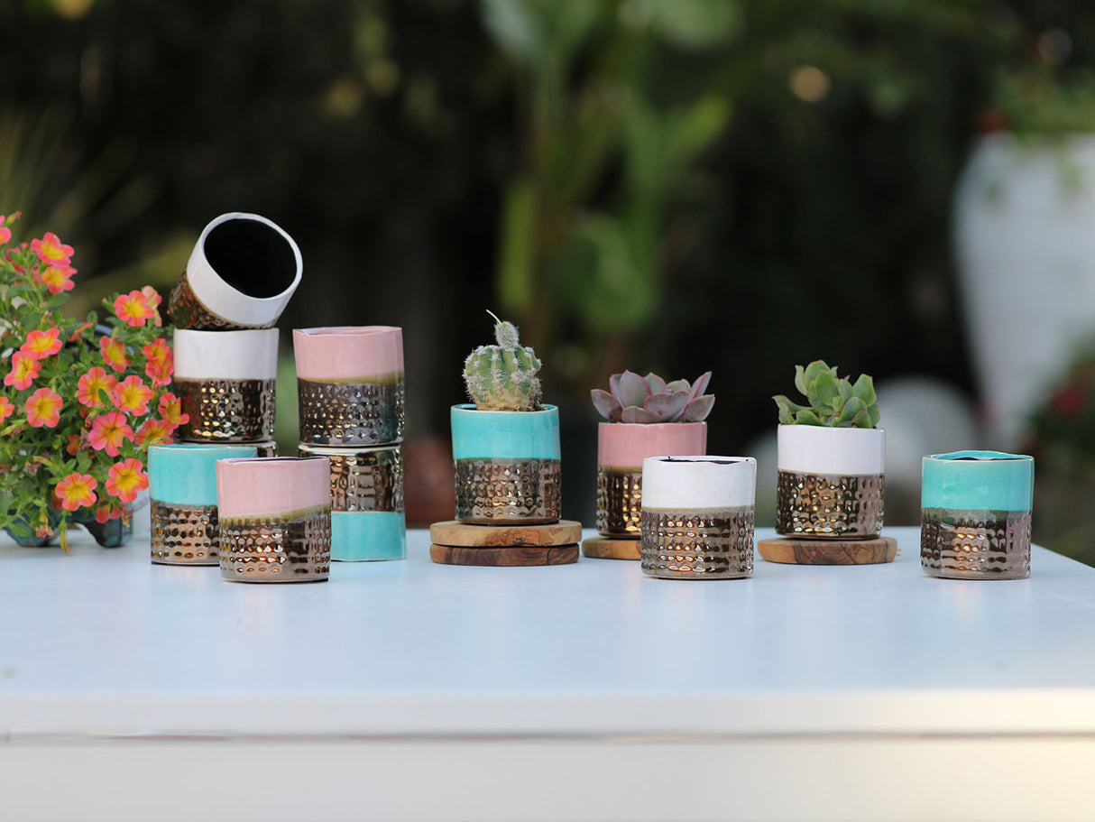 JEWEL CACHE POT-MIX