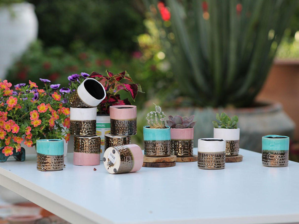 JEWEL CACHE POT-MIX