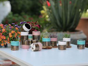 JEWEL CACHE POT-MIX
