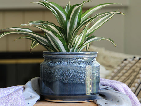 Jewel Self-Watering Planter By Plantatorem