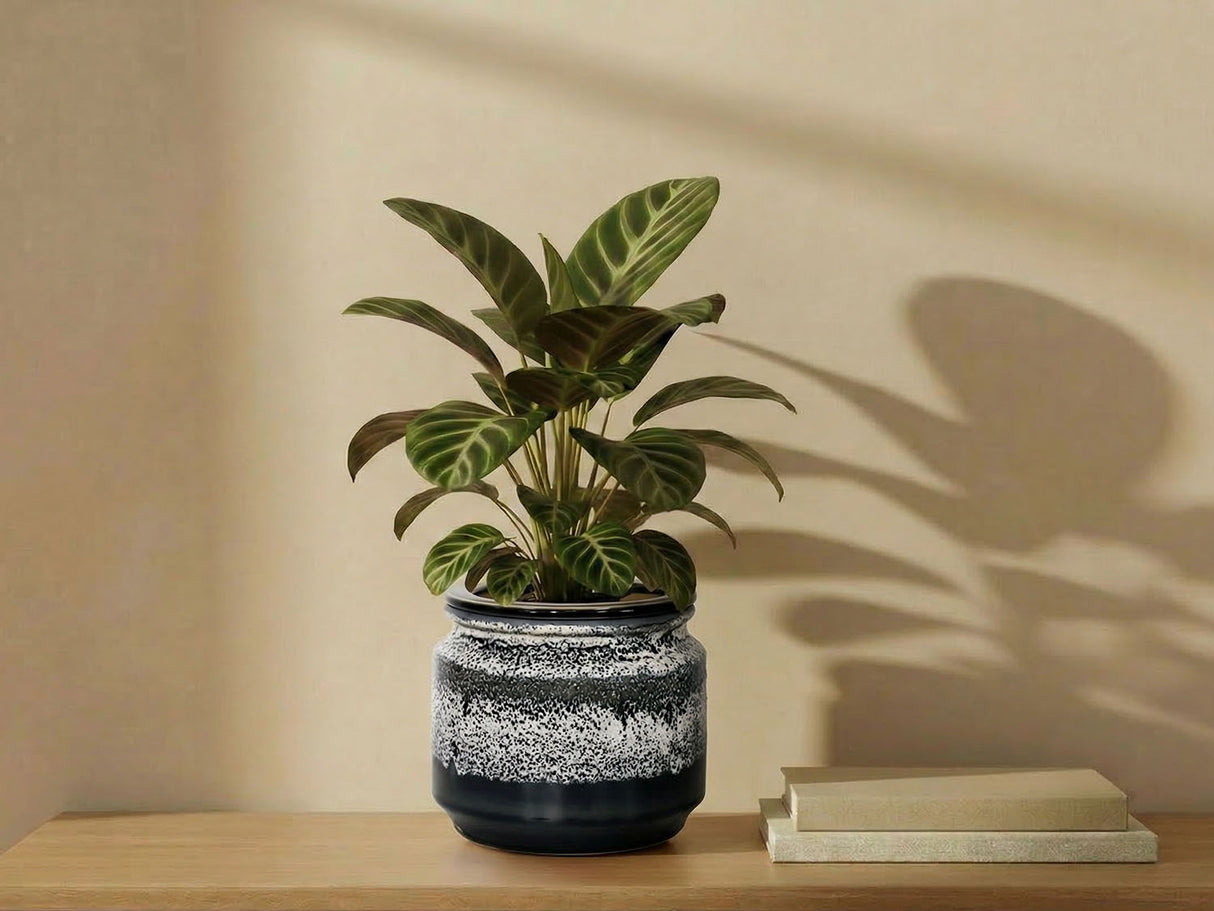 Jewel Self-Watering Planter By Plantatorem