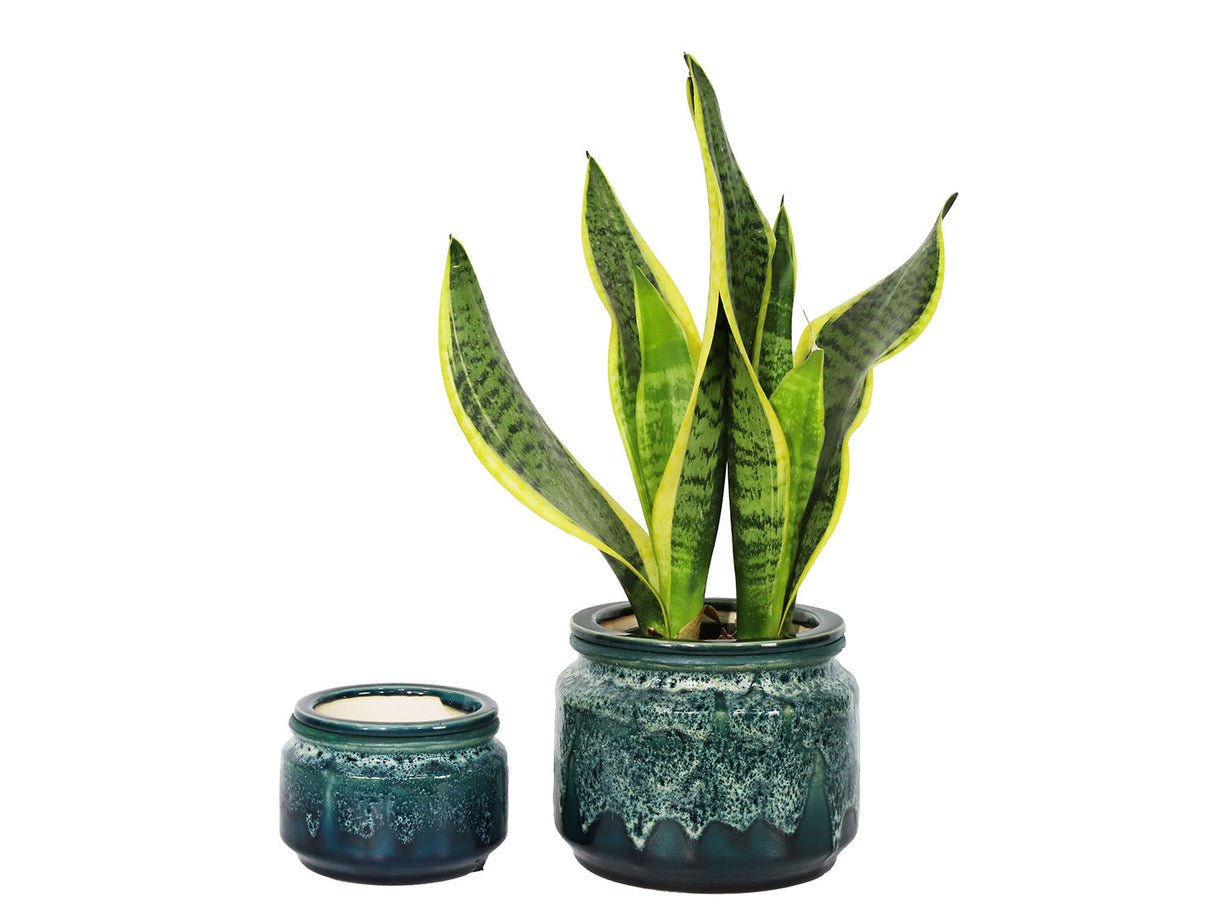 Jewel Self-Watering Planter By Plantatorem