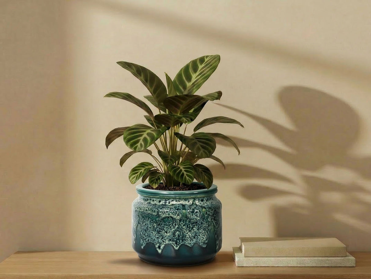 Jewel Self-Watering Planter By Plantatorem