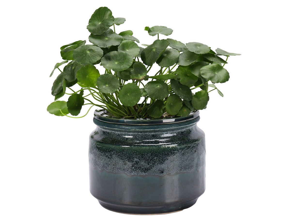 Jewel Self-Watering Planter By Plantatorem
