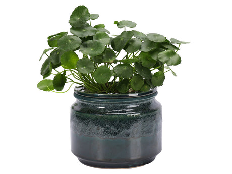 Jewel Self-Watering Planter By Plantatorem