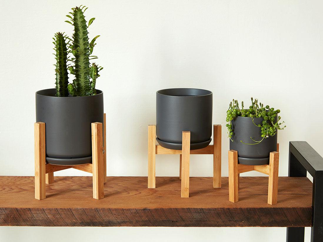 modern plant saucer Palm Springs Cylinder with Saucer, Matte White