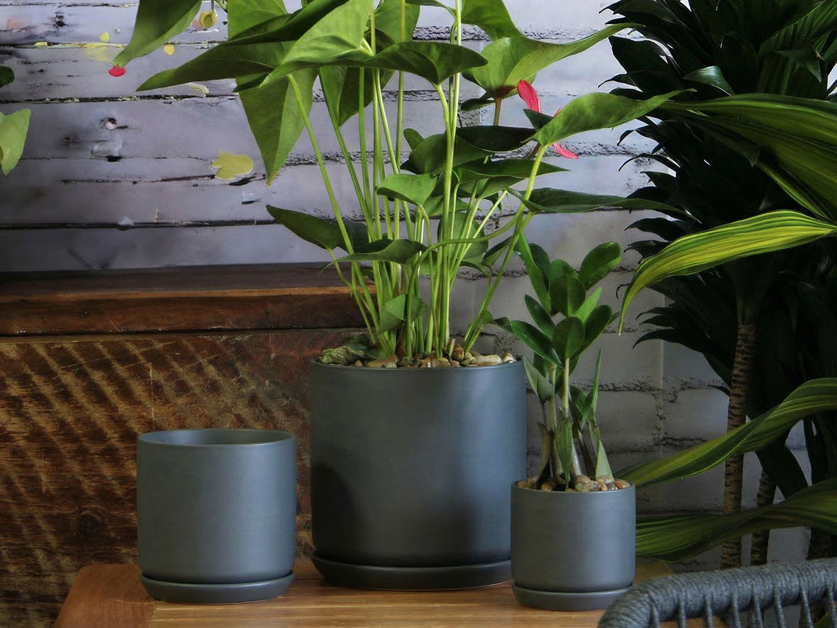 Cylinder with Attached Saucer- 7.0" x 6.5" By Plantatorem