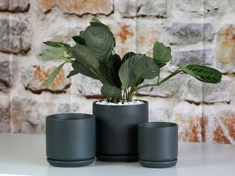 Cylinder with Attached Saucer-6.0" x 5.5" By Plantatorem