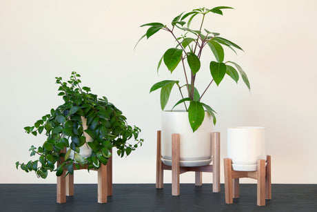 Mid Modern Medium Stand