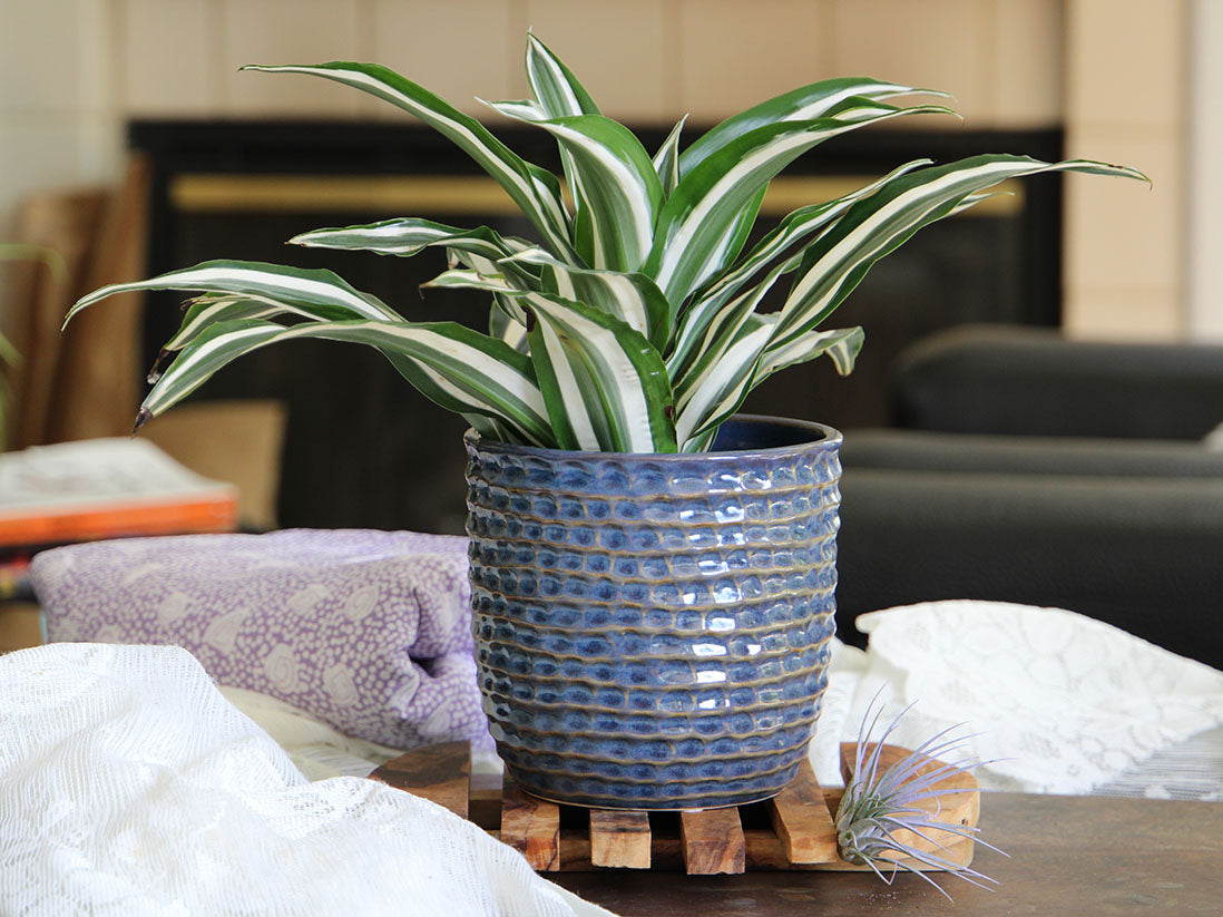 Honeycomb Planter - 9.0" x 8.5" By Plantatorem