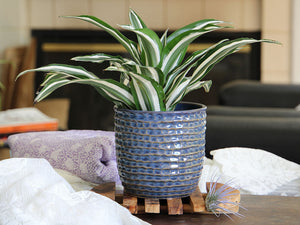 Honeycomb Planter - 9.0" x 8.5" By Plantatorem