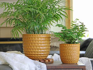 Honeycomb Planter - 9.0" x 8.5" By Plantatorem