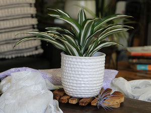Honeycomb Planter - 9.0" x 8.5" By Plantatorem