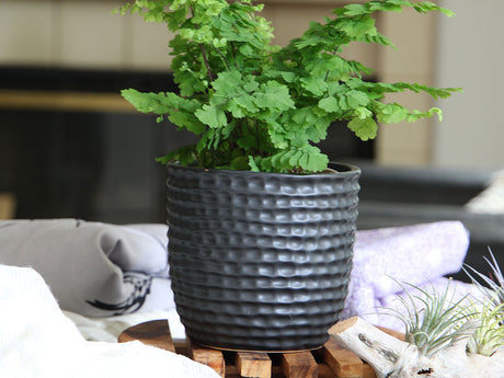 Honeycomb Planter - 9.0" x 8.5" By Plantatorem