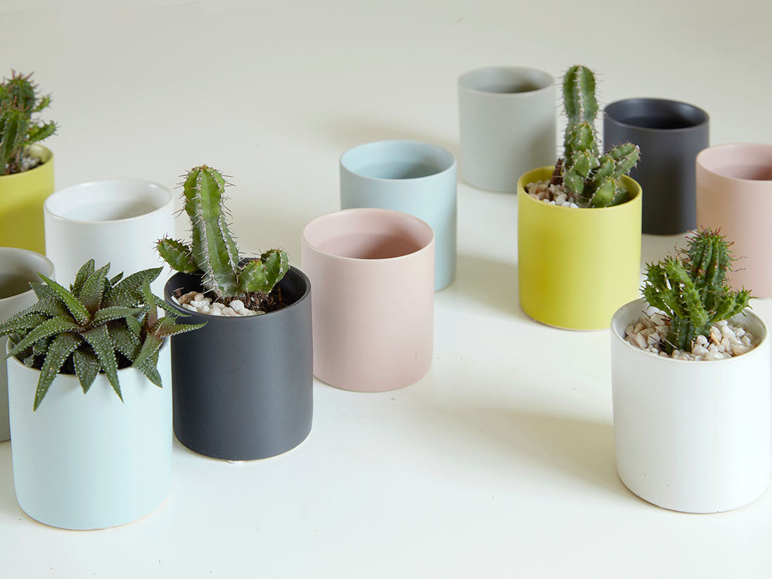 Cylinder Cache Pot 4.0" x 3.5" By Plantatorem