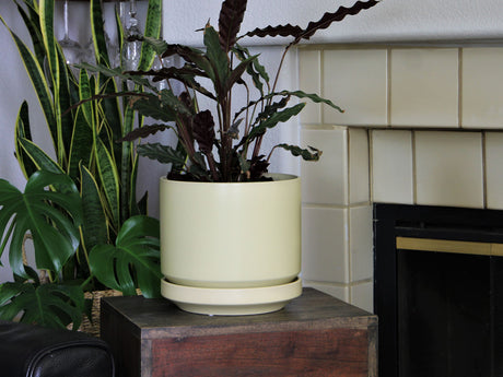 Melrose Modern Planter- 10.0" x 10.5" By Plantatorem