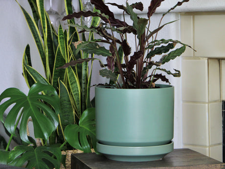 Melrose Modern Planter (LARGE) By Plantatorem